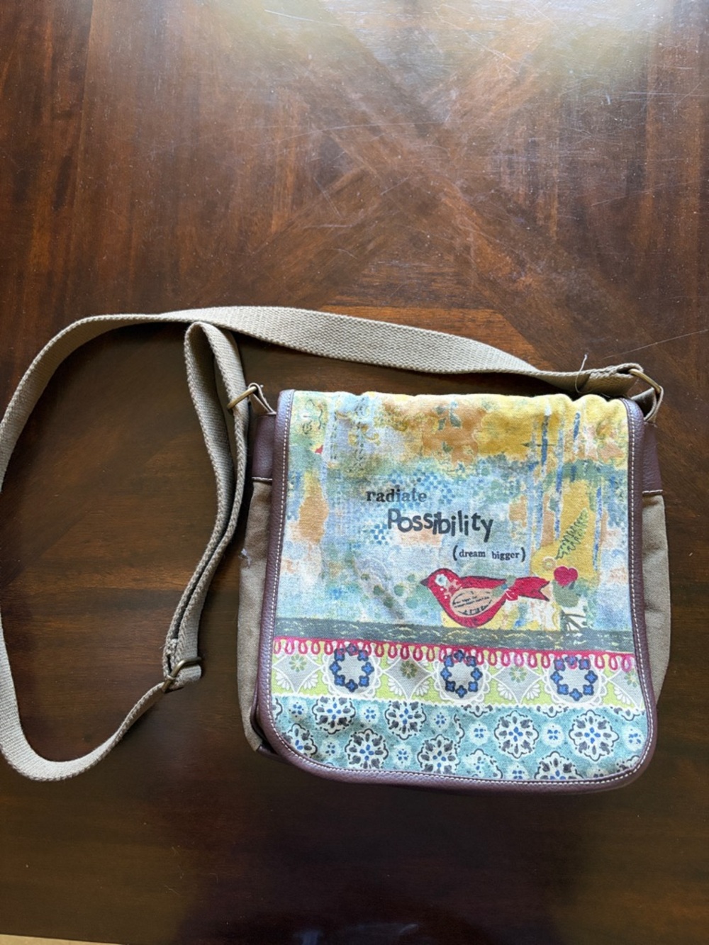 Radiate Possibility Canvas Crossbody Bag in Multicolor